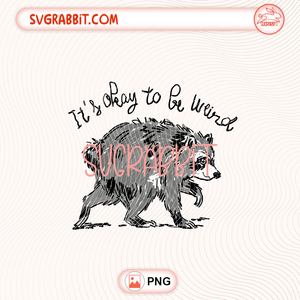 It's Okay To Be Weird PNG Jimothy Raccoon Viral PNG 300 DPI transparent background for shirts mugs tumblers stickers decals raccoon lover gifts and funny crafts